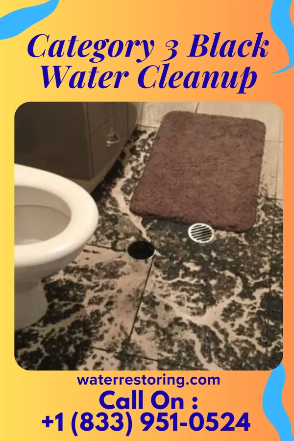 Category 3 Black Water Cleanup in Three Way, TN