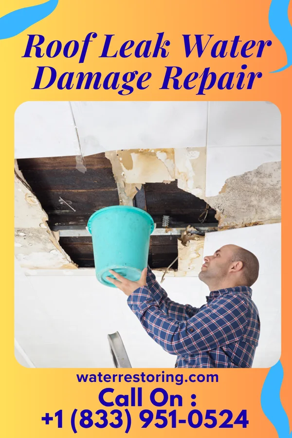 Roof Leak Water Damage Repair in Three Way, TN