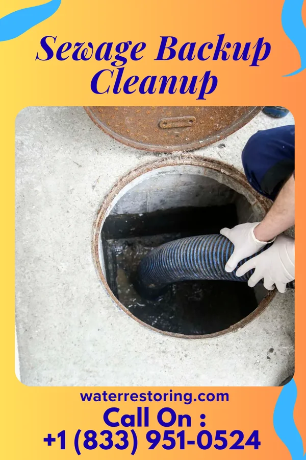 Sewage Backup Cleanup in Three Way, TN